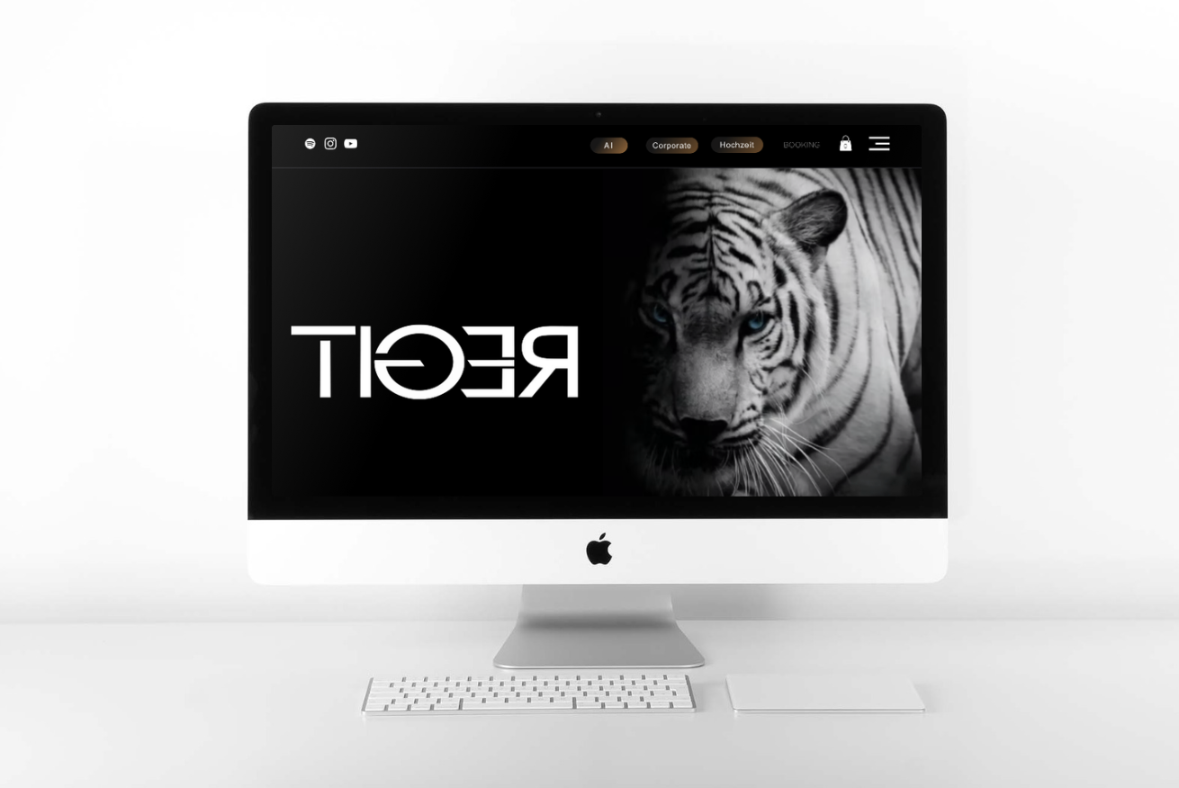 DJ TIGER Website Mockup