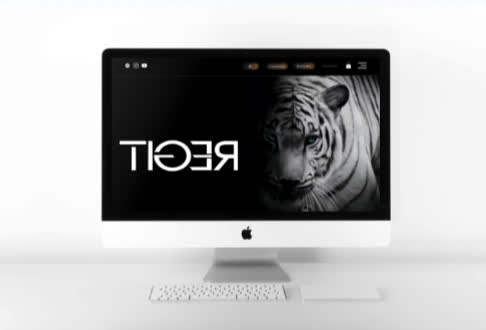 DJ TIGER Website